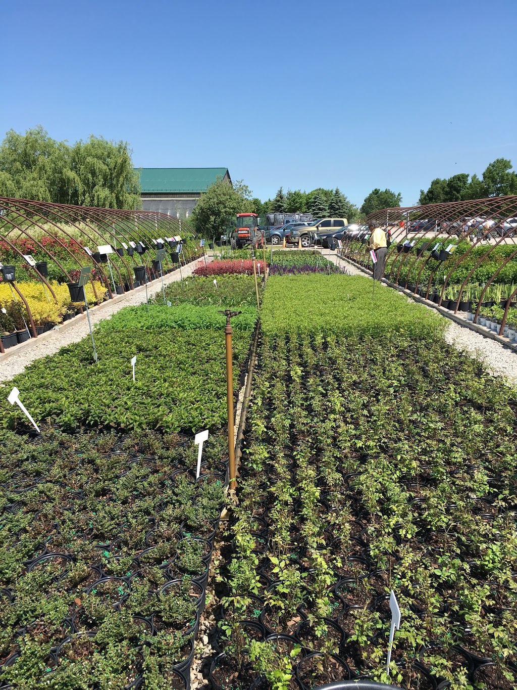 Northland Nursery | 722 Concession 5 W, Waterdown, ON L8B 1L6, Canada | Phone: (905) 689-5034