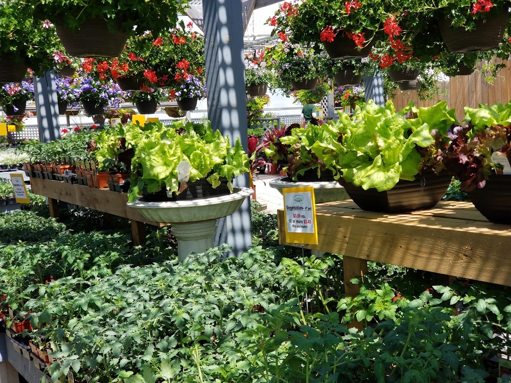 Crawfords Garden Centre | 8689 5 Sideroad, Milton, ON L9T 2X7, Canada | Phone: (905) 878-0223