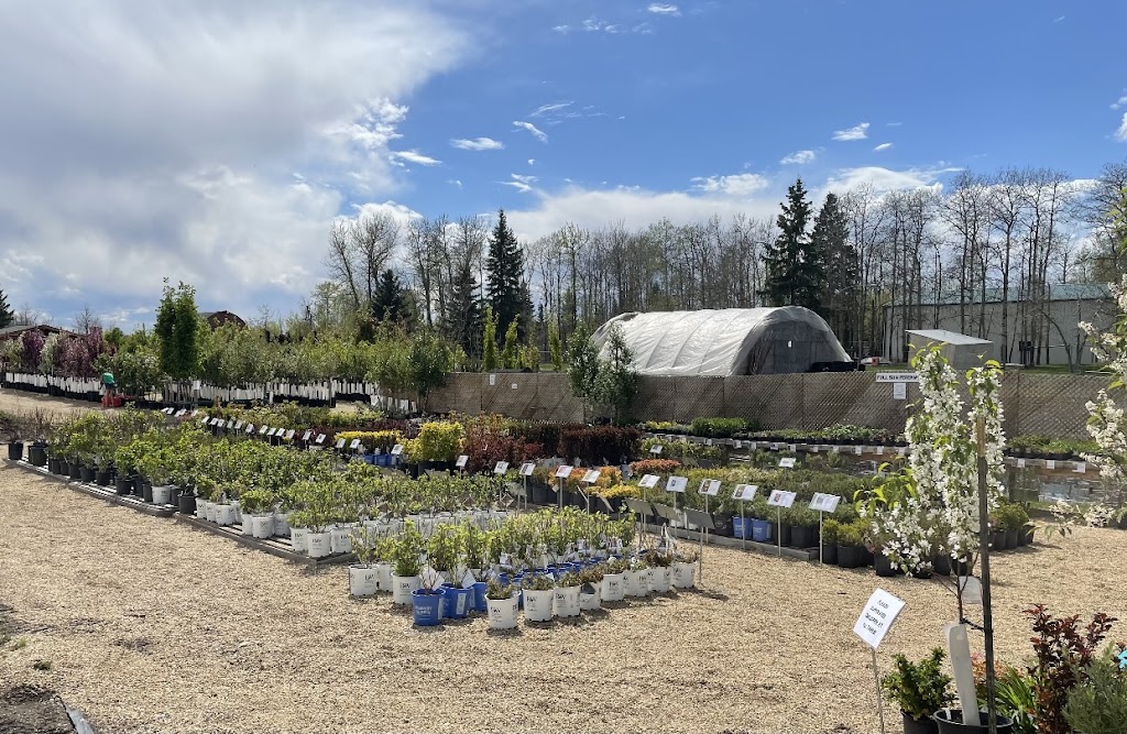 Sherwood Nurseries | 22040 Township Rd 522, Sherwood Park, AB T8E 1G2, Canada | Phone: (587) 409-4442