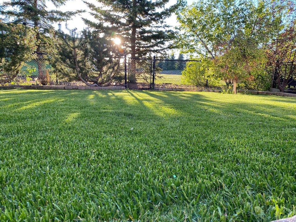 Verde Grass lawn and snow LTD | 9 Valley Ponds Crescent NW, Calgary, AB T3B 5T4, Canada | Phone: (587) 998-2543