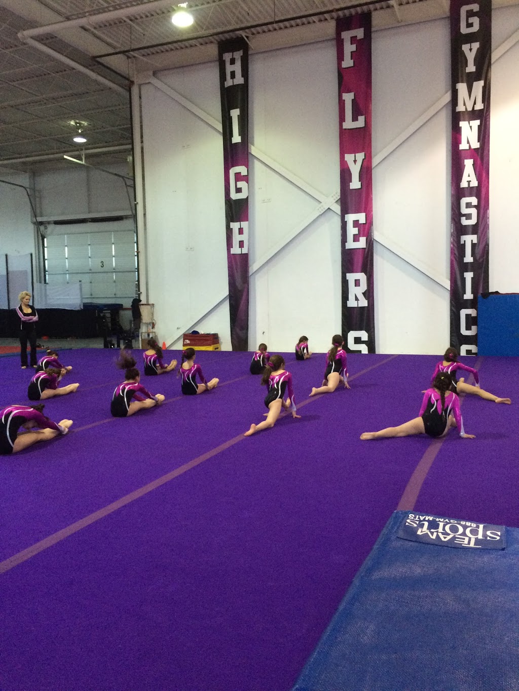 High Flyers Gymnastics | 1701 Creditstone Rd, Concord, ON L4K 5V6, Canada | Phone: (905) 832-1660