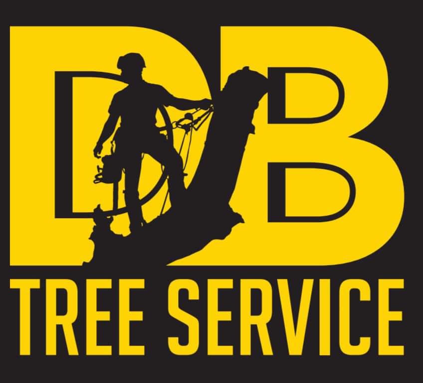 DB tree service | 88 Rosemund Crescent, Kingston, ON K7M 6Z4, Canada | Phone: (613) 929-5505