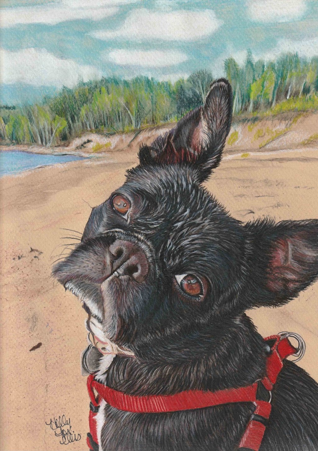 Custom Pet Portraits By : The Artwork of Holly Fox Ellis | 460 Greene Ave, Winnipeg, MB R2K 0M1, Canada | Phone: (204) 990-4329