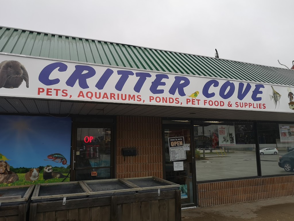 Critter Cove | 180 Front St S, Orillia, ON L3V 4S7, Canada | Phone: (705) 329-1069