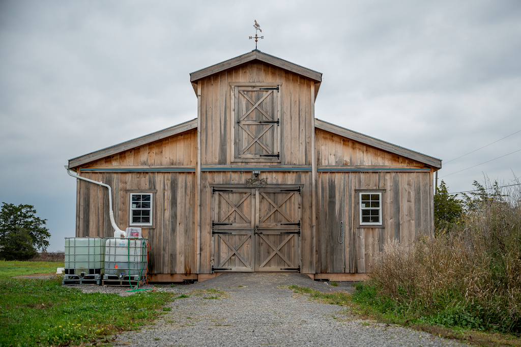 Horse Sense Equine Guidance | 85 Jericho Rd, Demorestville, ON K0K 1W0, Canada | Phone: (613) 922-6745