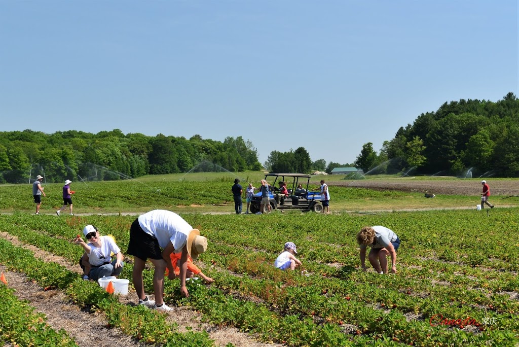 Taylor Farm Sand & Gravel | 1490 Dee Bank Rd, Windermere, ON P0B 1P0, Canada | Phone: (705) 769-2100