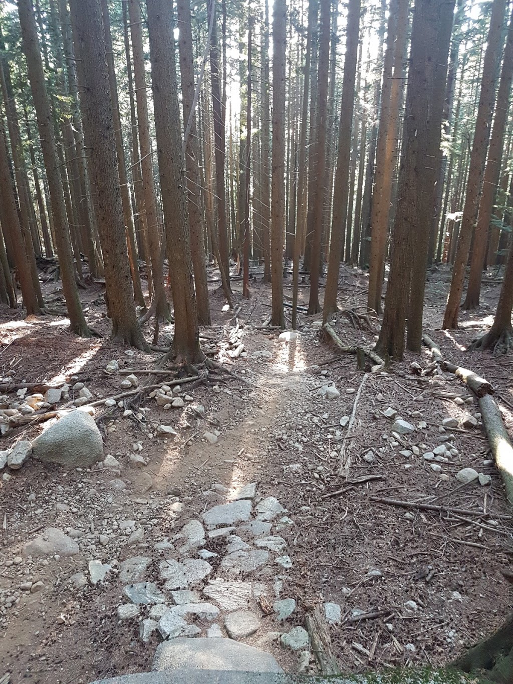 TNT Trail | Unnamed Road, North Vancouver, BC V7H, Canada