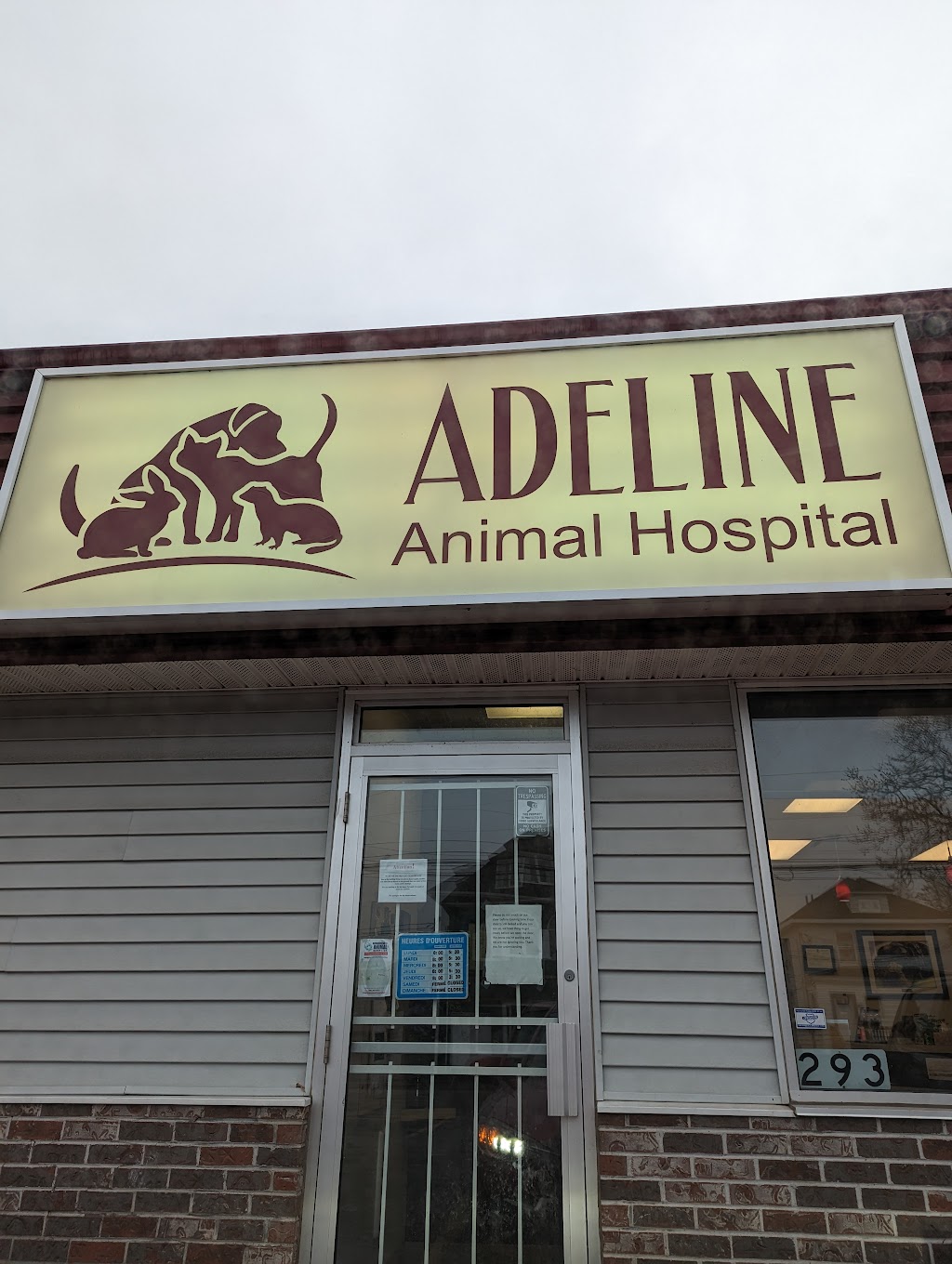 Adeline Animal Hospital | 293 High St, Moncton, NB E1C 6C1, Canada | Phone: (506) 854-9201