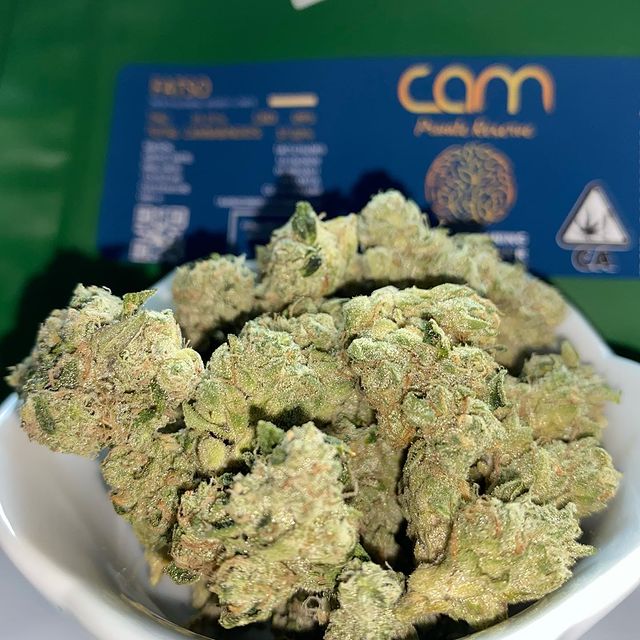 Hamilton Dispensary Online | 9300 Airport Rd, Mount Hope, ON L0R 1W0, Canada | Phone: (647) 977-5897