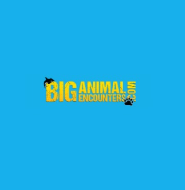 Big Animal Encounters | 1340 Island Hwy #129, Campbell River, BC V9W 8C9, Canada | Phone: (877) 800-3483