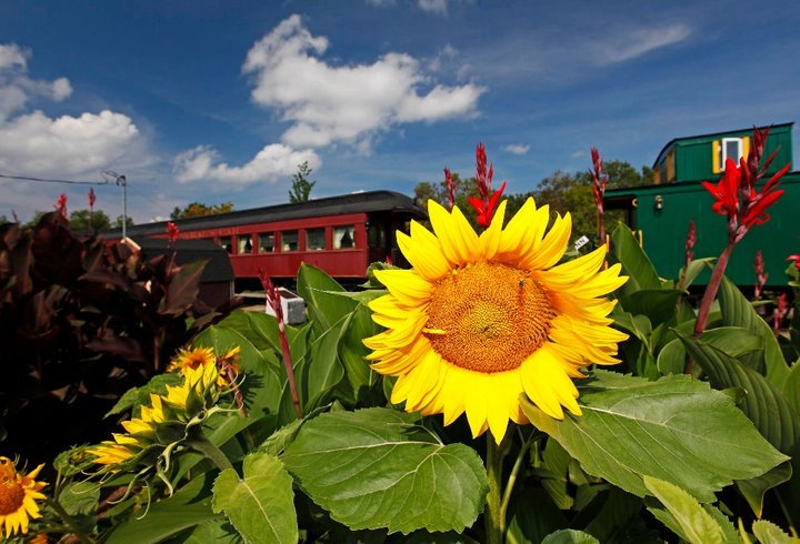 Tatamagouche Railway Dining Car | 21 Station Rd, Tatamagouche, NS B0K 1V0, Canada | Phone: (902) 657-9091