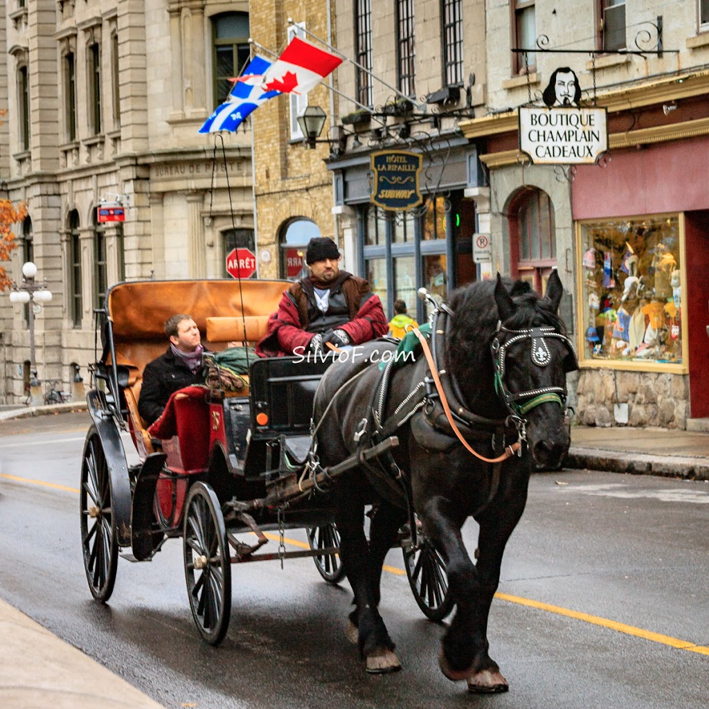 Auberge La Ripaille Inc | 9 Rue De Buade, Québec, QC G1R 3Z9, Canada | Phone: (418) 692-2450