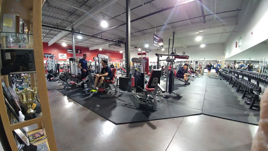 Pro Gym Fitness | 4796 Boul Bourque, Sherbrooke, QC J1N 2A7, Canada | Phone: (819) 822-8524