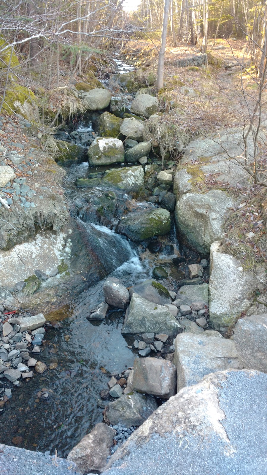 McIntosh Run Community Trail | 614 Herring Cove Rd, Halifax, NS B3R 1X6, Canada