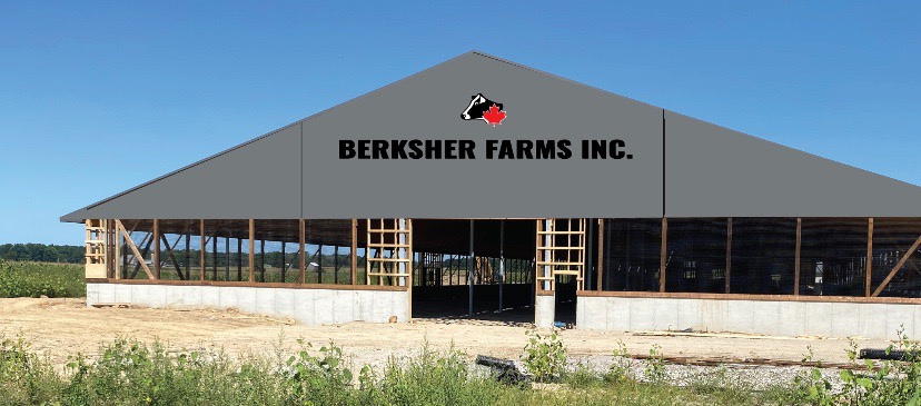 Berksher Farms | 52900 College Line, Aylmer, ON N5H 2R3, Canada | Phone: (519) 765-0888