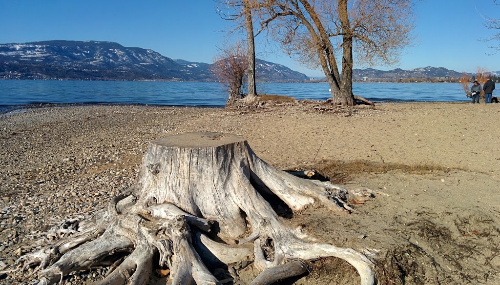 Sarsons Beach Park | 4398 Hobson Rd, Kelowna, BC V1W 1Y3, Canada