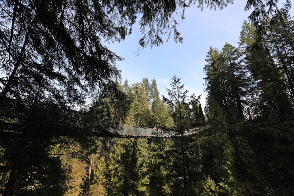 Capilano Suspension Bridge Park – Raptors Ridge | Unnamed Road, West Vancouver, BC V7S 1J5, Canada | Phone: (604) 985-7474