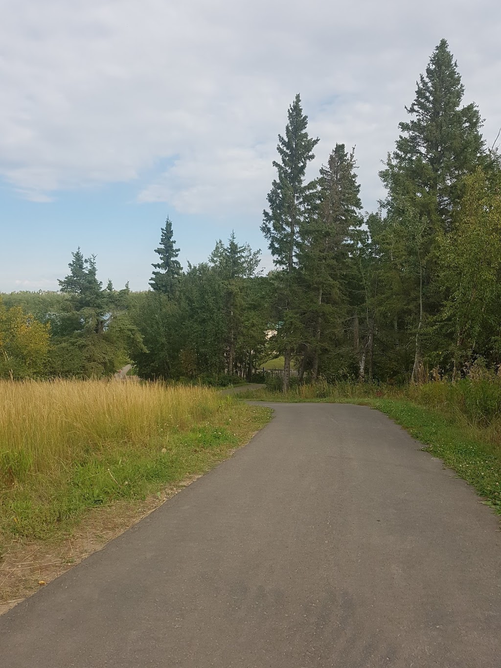 Lakeview Self Guiding Loop Trail | Improvement District No. 13, AB T8L 4B6, Canada