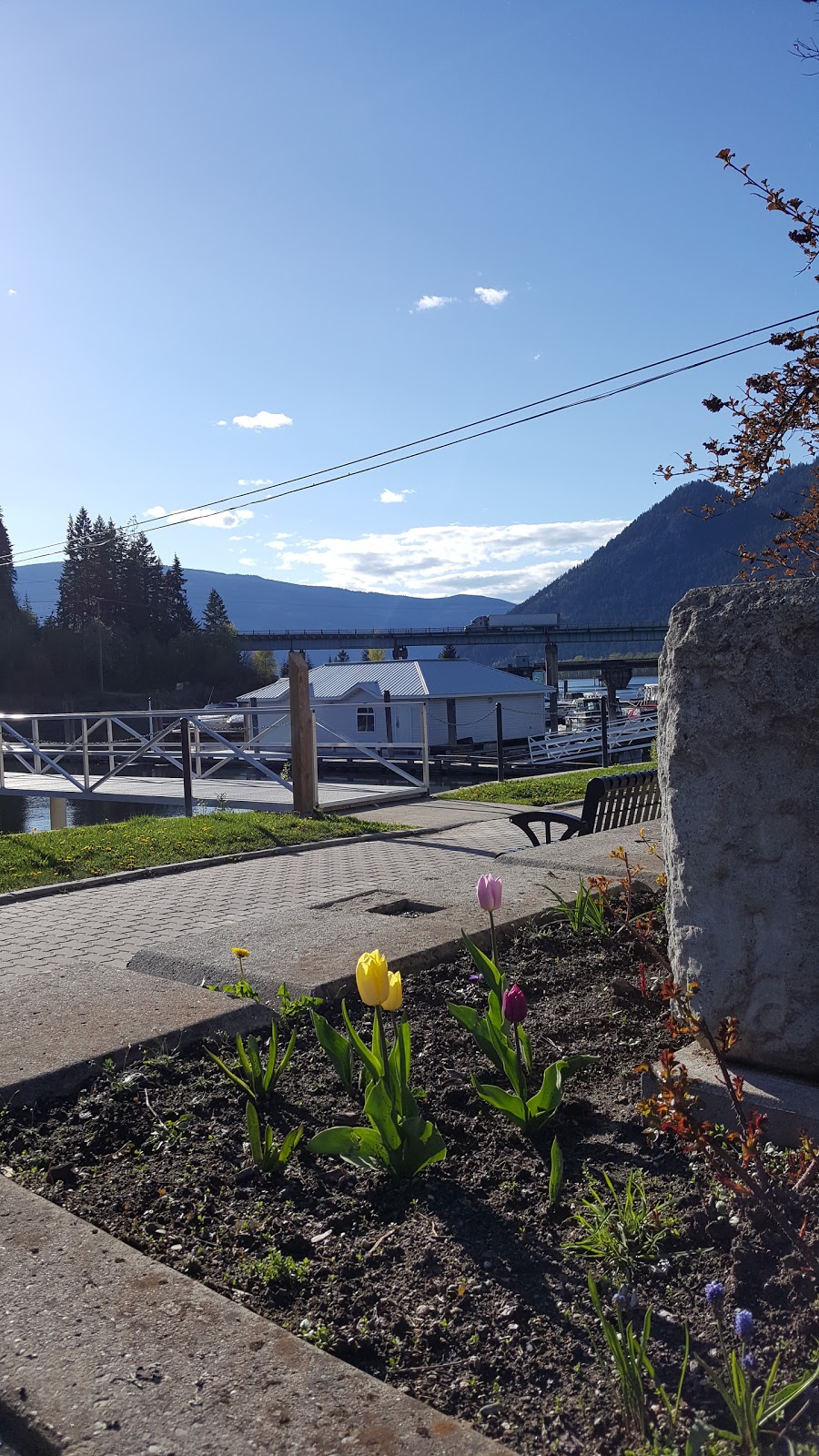 Shuswap Waterfront Marina | 113 Weddup St, Sicamous, BC V0E 2V0, Canada | Phone: (250) 517-0244