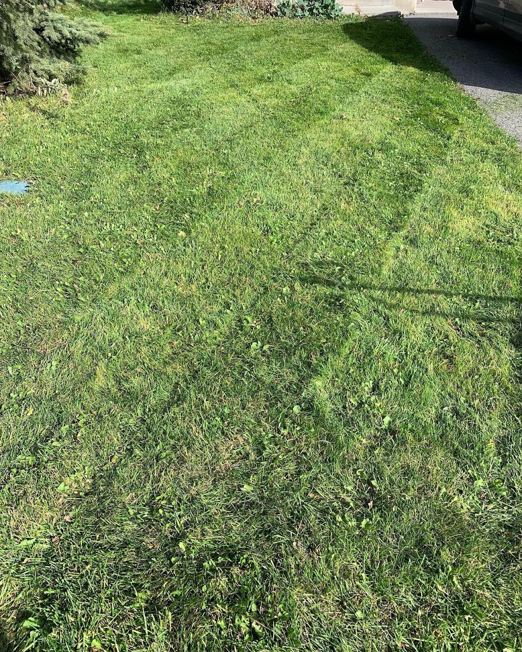 Ashdown Lawn Care | Arrowgrass Way, Orléans, ON K4A 0C7, Canada | Phone: (613) 218-2490