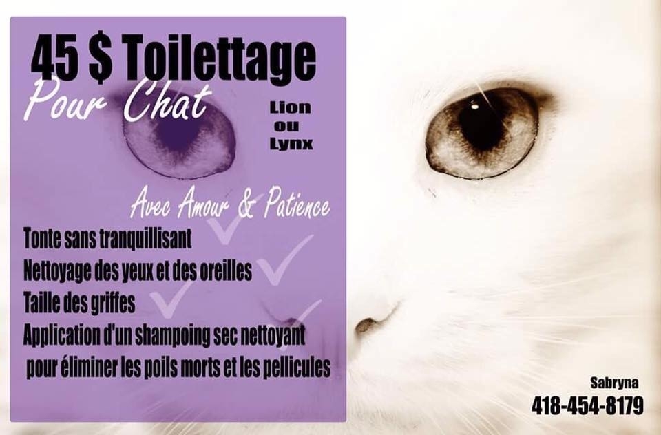 Toilettage Mobile Allymal Look | 355 Chem. Ville-Marie, Beaumont, QC G0R 1C0, Canada | Phone: (418) 838-3032