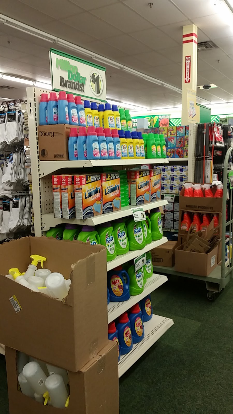 Dollar Tree | 231 S Cascade Dr #145, Springville, NY 14141, USA | Phone: (716) 592-7476