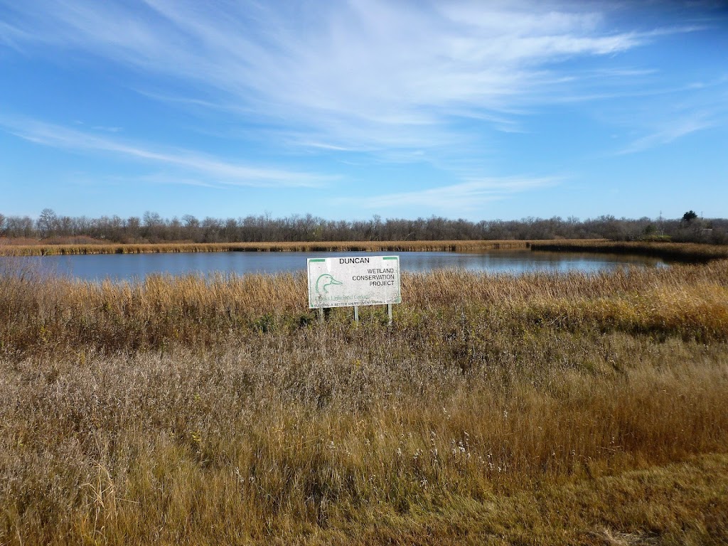 Duncan Wetland Conservation Project | 1379 Breezy Point Rd, Clandeboye, MB R0C 0P0, Canada | Phone: (800) 665-3825