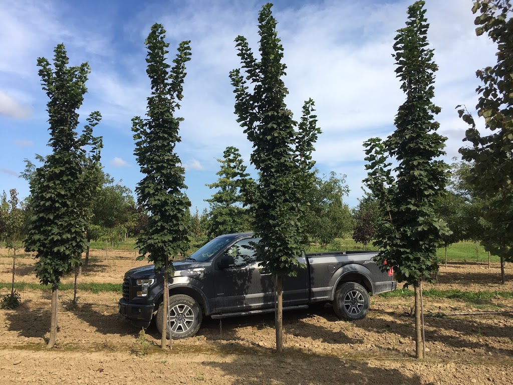 Treemaster Transplanters Ltd. | 3440 17th Sideroad, King City, ON L7B 1K4, Canada | Phone: (905) 773-2221