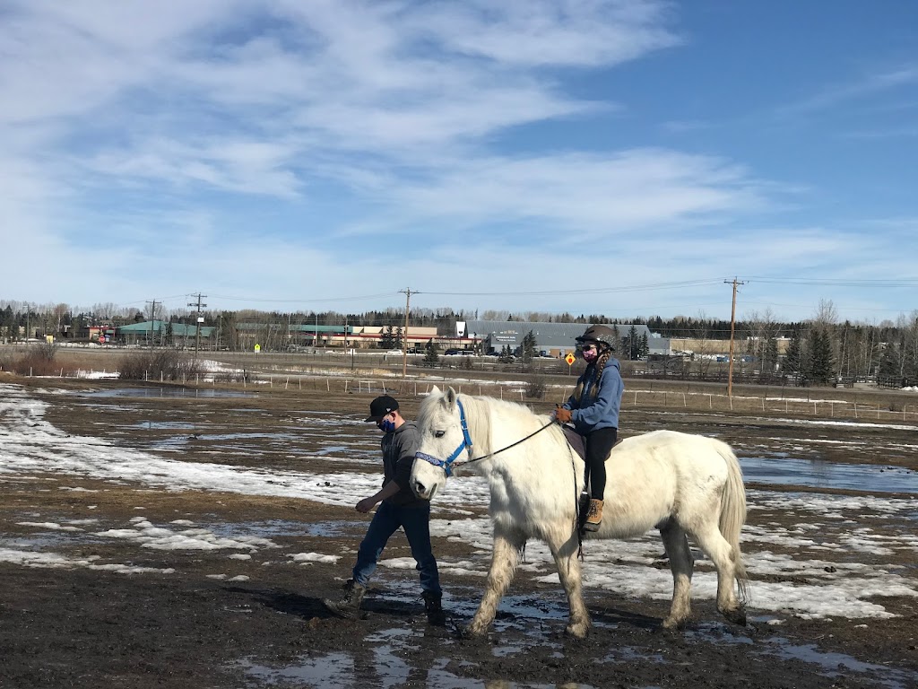 Discovering the Horse | 243201 Range Rd 33, Calgary, AB T3Z 2E6, Canada | Phone: (403) 242-7648