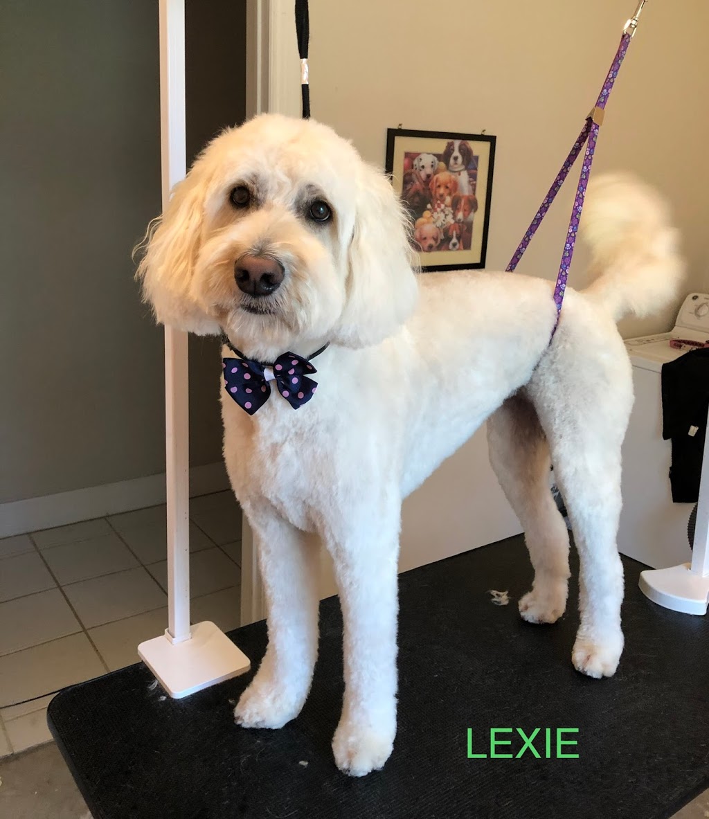 Megan’S’paw Dog Grooming | 1589 King St #2, Prince Albert, ON L9L 1C2, Canada | Phone: (905) 449-4066