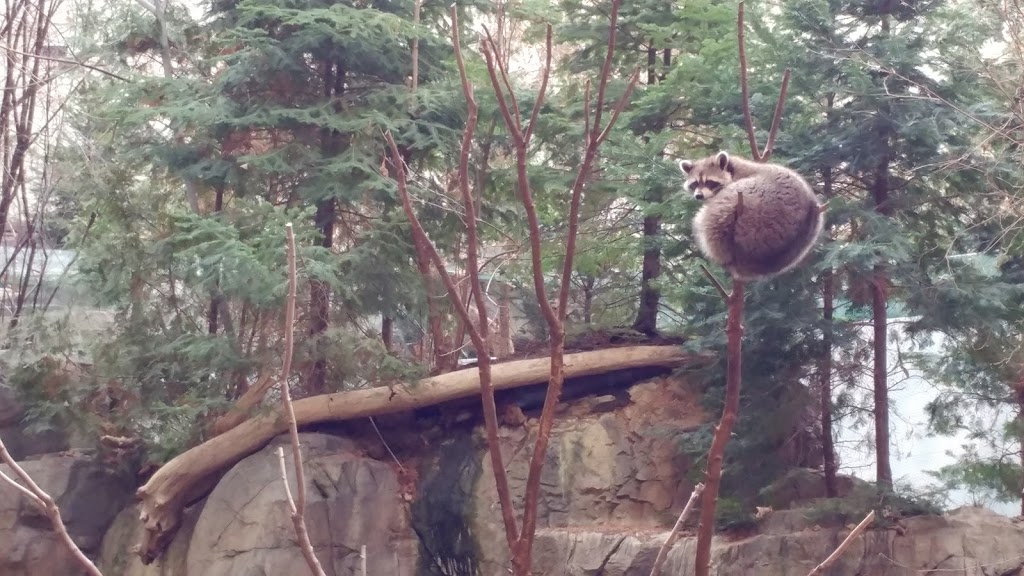 Society of Friends of the Biodome | 4777 Avenue Pierre-De Coubertin, Montréal, QC H1V 1B3, Canada | Phone: (514) 868-3098