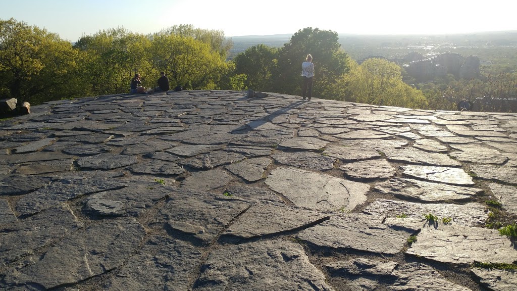 Djodjâgué Otchiraguéné | Ch de Ceinture, Outremont, QC H2V 2T2, Canada