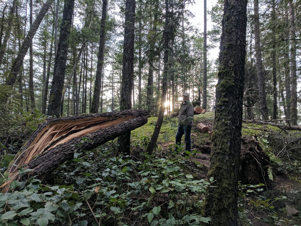 Sargeant Bay Provincial Park | Redrooffs Rd, Halfmoon Bay, BC V0N 1Y2, Canada | Phone: (604) 885-3714