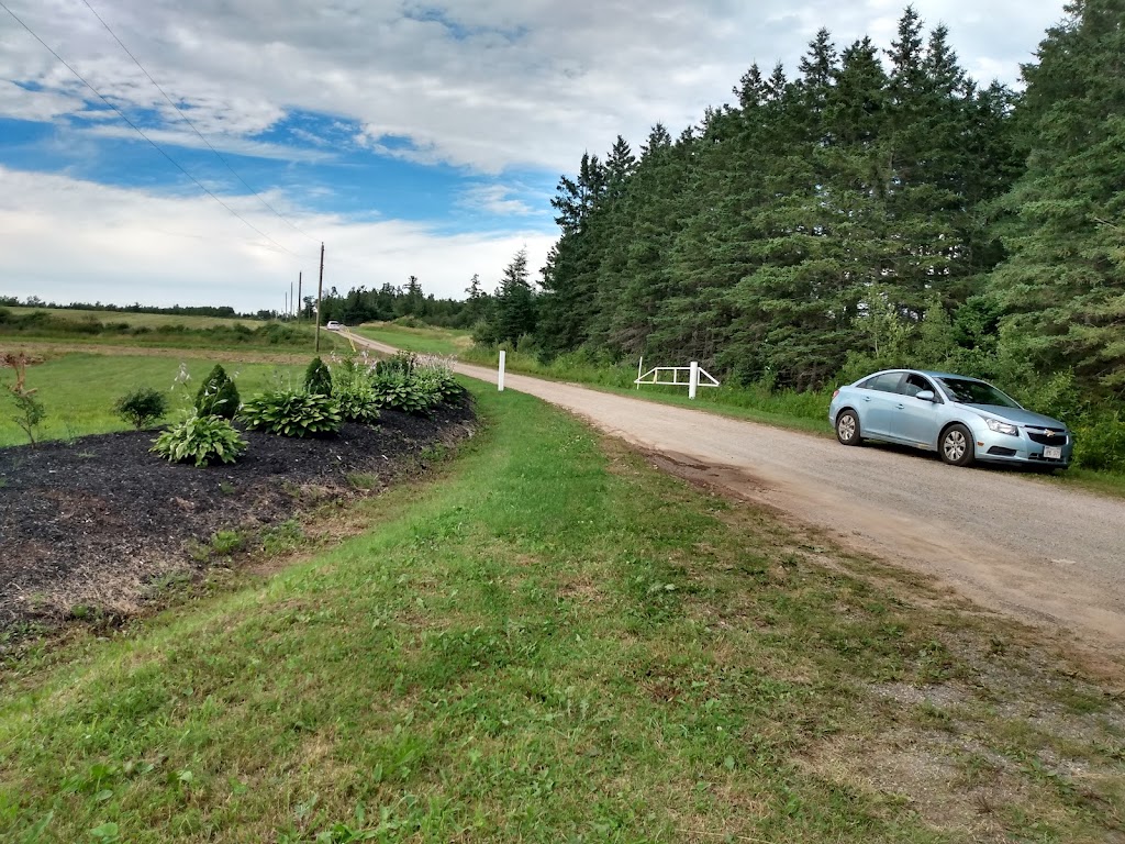 Ramsays Blueberries | 1081 NB-885, Petitcodiac, NB E4Z 4T7, Canada | Phone: (506) 750-1234