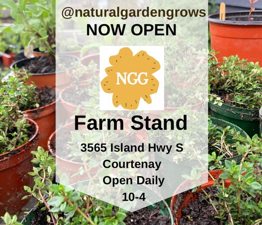 Natural Garden Grows (NGG) | 3565 Island Hwy S, Courtenay, BC V9N 9T7, Canada | Phone: (250) 740-1566