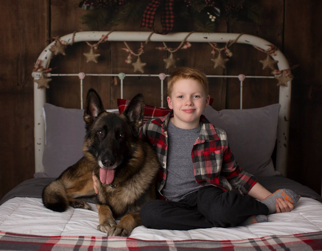 Edale German Shepherds | Cinnamon Dr, Alberta T0B 4J2, Canada | Phone: (780) 662-4843