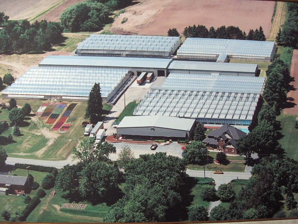 Scharringa Greenhouses Ltd | 379 Concession 4 W, Waterdown, ON L0R 2H2, Canada | Phone: (905) 689-5910