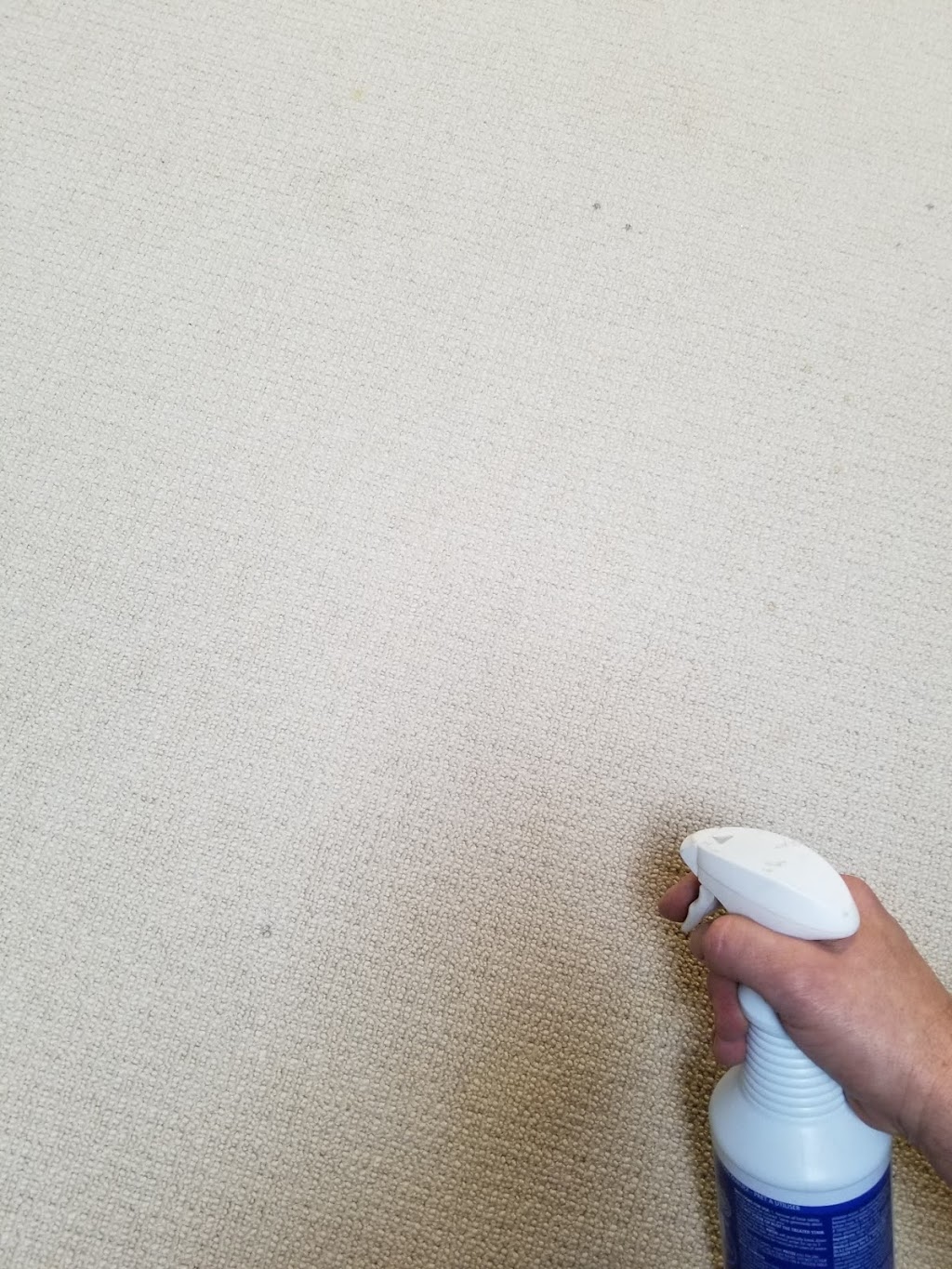 Oliva Carpet & Rug Cleaning | 1500 Upper Middle Rd W, Oakville, ON L6M 3G3, Canada | Phone: (905) 827-4554