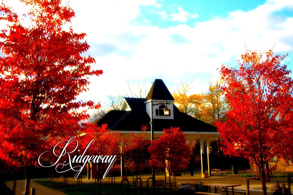 Ridgeway BIA | PO Box 766, Ridgeway, ON L0S 1N0, Canada | Phone: (905) 993-0078