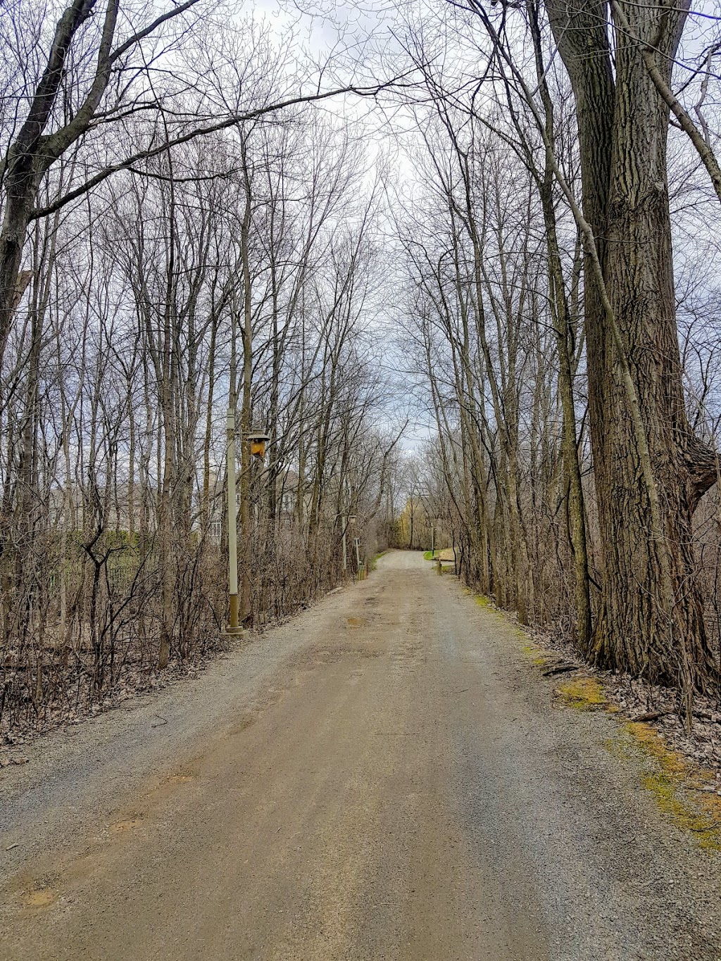 Bois-de-lÎle-Bizard Nature Park | 2115 Chemin du Bord-du-Lac, LÎle-Bizard, QC H9C 1P3, Canada | Phone: (514) 280-8517