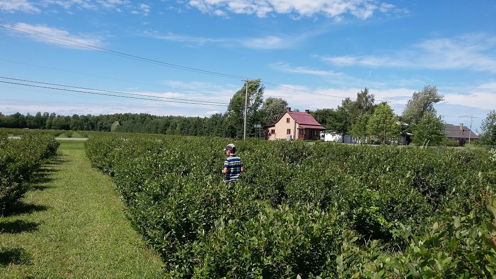 La Ferme Lareault | 260 Rang St Charles, Saint-Thomas, QC J0K 3L0, Canada | Phone: (450) 756-8914