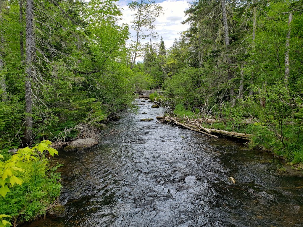 Gully Lake Wilderness Area | Kemptown Rd, Kemptown, NS, Canada | Phone: (800) 565-1633