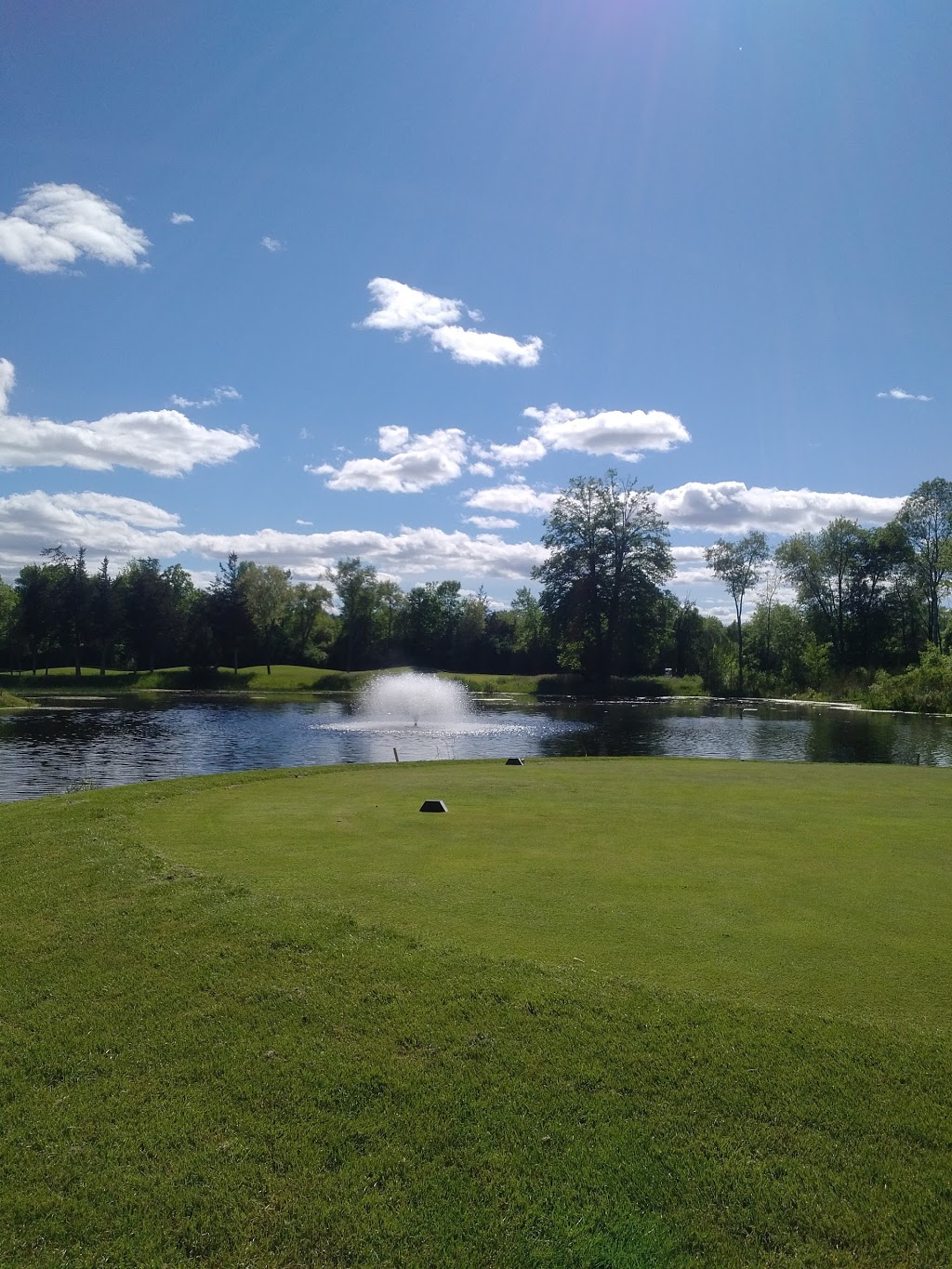 Trillium Wood Golf Club | 1281 ON-37, Corbyville, ON K0K 1V0, Canada | Phone: (613) 477-1831