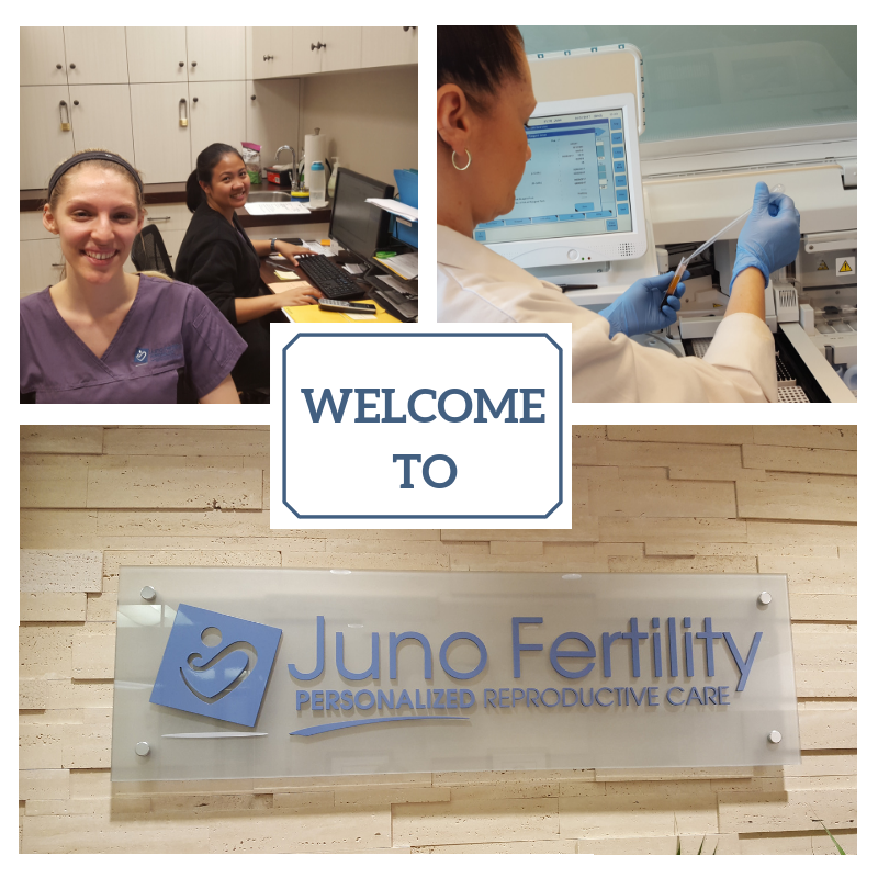 Juno Fertility | 430 The Boardwalk Suite 402, Waterloo, ON N2T 0C1, Canada | Phone: (226) 647-8020