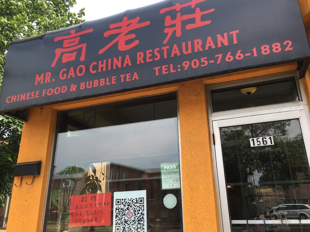 Mr. Gao | 1561 Main St W, Hamilton, ON L8S 1E6, Canada | Phone: (289) 309-1363