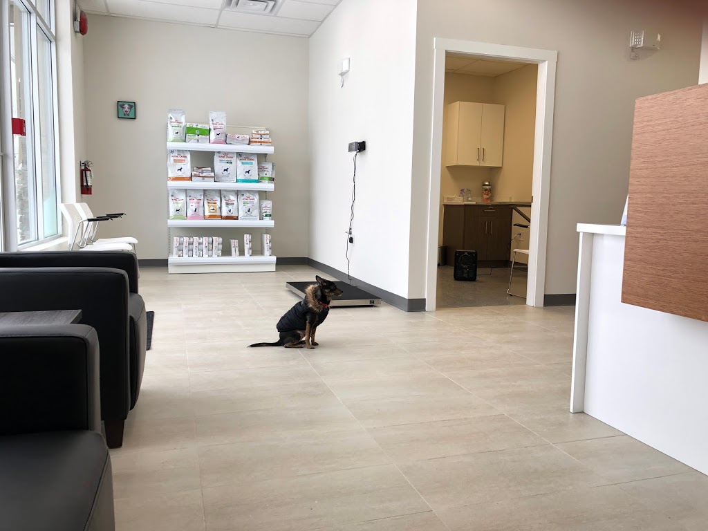 Grandview Animal Hospital | 2215 160 St Unit 30, Surrey, BC V3Z 9N6, Canada | Phone: (604) 385-3662