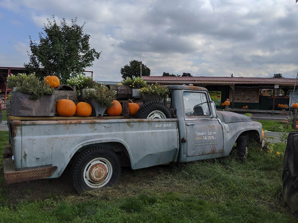 Chilliwack Corn Maze & Pumpkin Farm | 41905 Yale Rd W, Chilliwack, BC V2R 4J4, Canada | Phone: (604) 845-5284