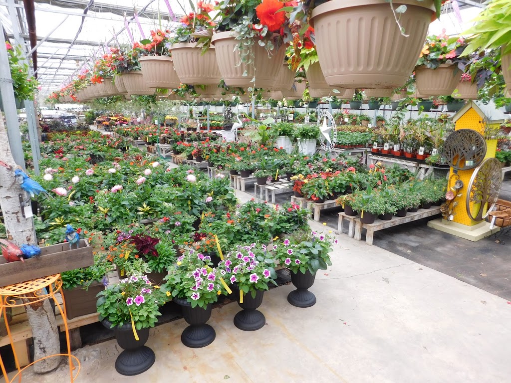 Alton Greenhouses & Garden Centre | 19598 Main St, Alton, ON L7K 1P6, Canada | Phone: (519) 941-8354