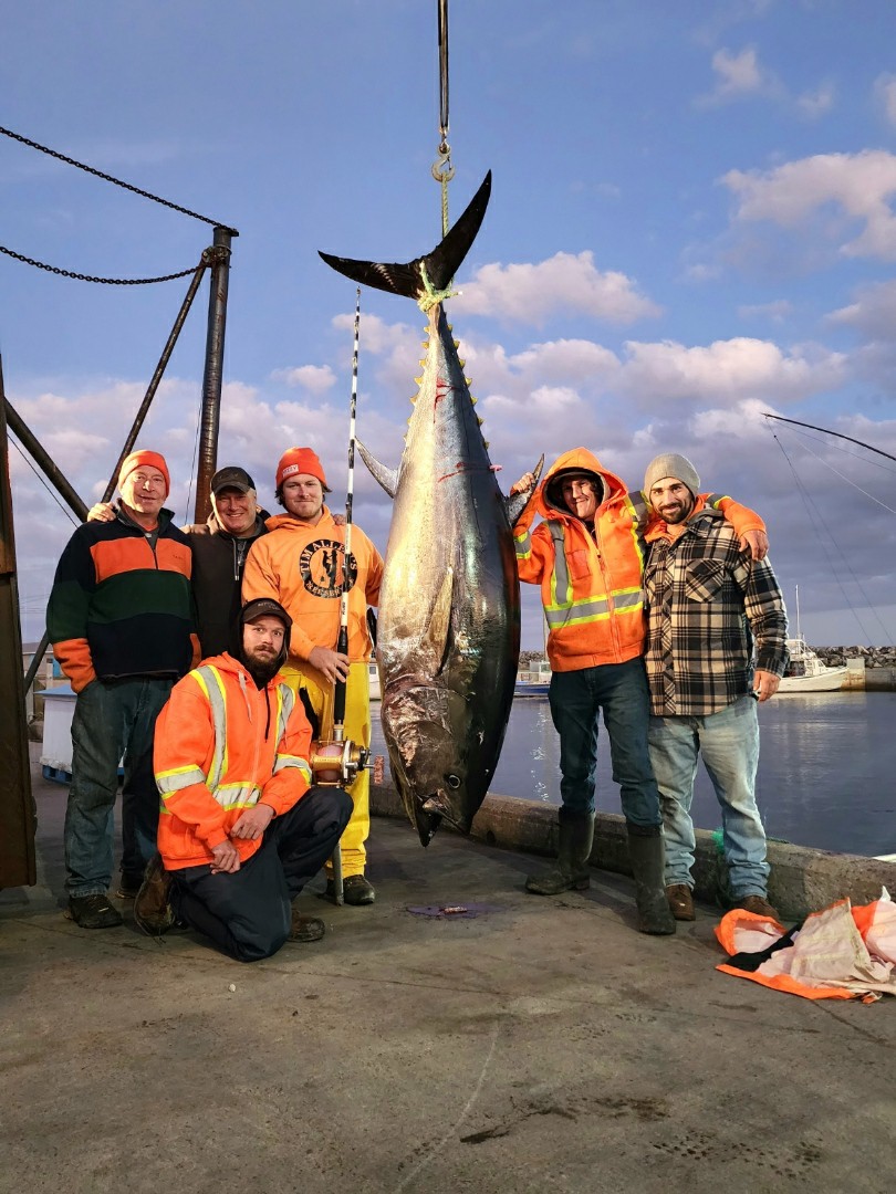 Giant Bluefin Tuna Charters | 90 Ballantynes Cove Wharf Road, Antigonish, NS B2G 2L2, Canada | Phone: (902) 872-0906