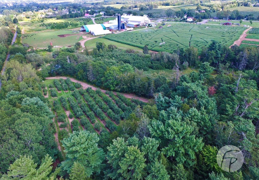Corn Maze and U-Pick at Noggins Farm | 9969 Evangeline Trail, Wolfville, NS B4P 2R2, Canada | Phone: (902) 542-5515 ext. 207